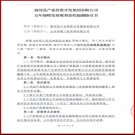 商河县产业投资开发集团有限公司五年战略发展规划